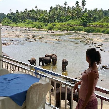 Hotel Pinnalanda Pinnawala  Kültér fotó